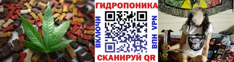 Cannafood конопля Геленджик