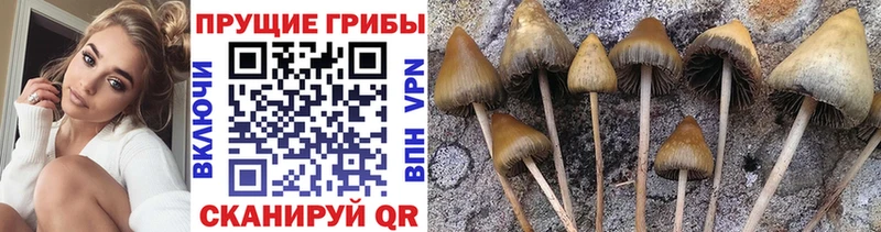 Псилоцибиновые грибы мухоморы  MEGA   Геленджик 